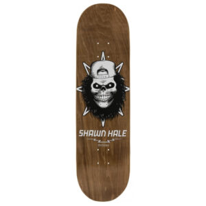 Birdhouse Hale Skull Dekki 8.5