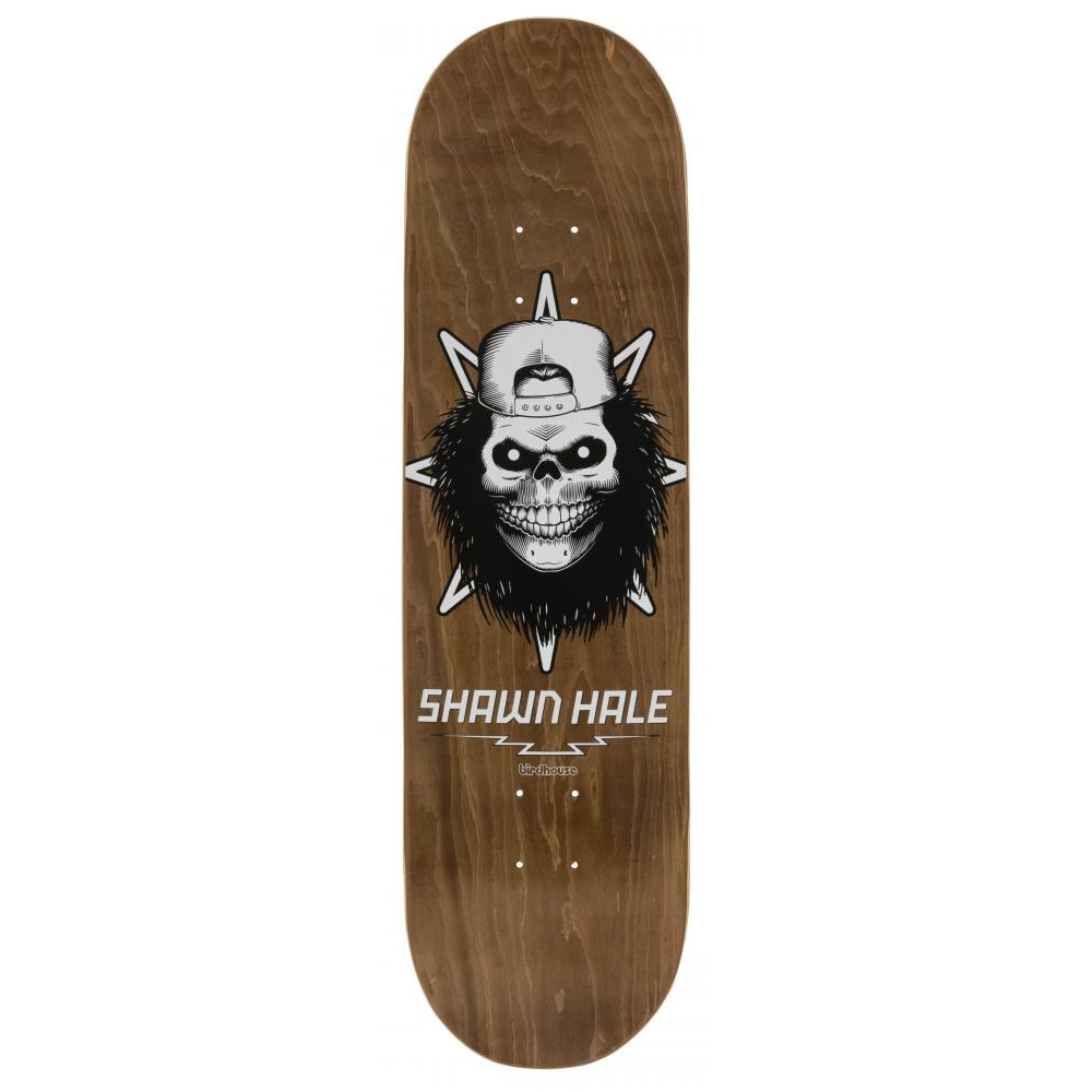 Birdhouse Hale Skull Dekki 8.5